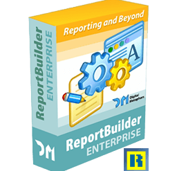 ReportBuilder Enterprise 2024 Free Download