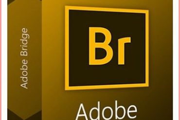 Adobe Bridge 2024 Free Download