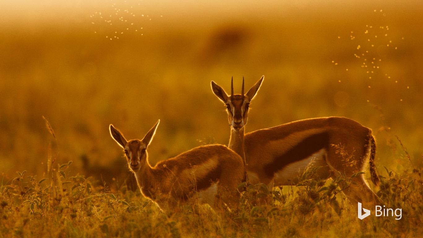 Following mom’s lead